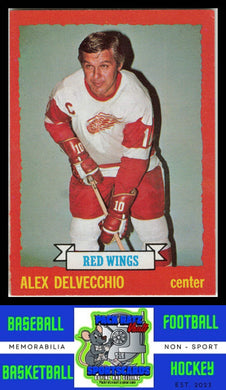 1973 Topps #141 Alex Delvecchio VG/EX