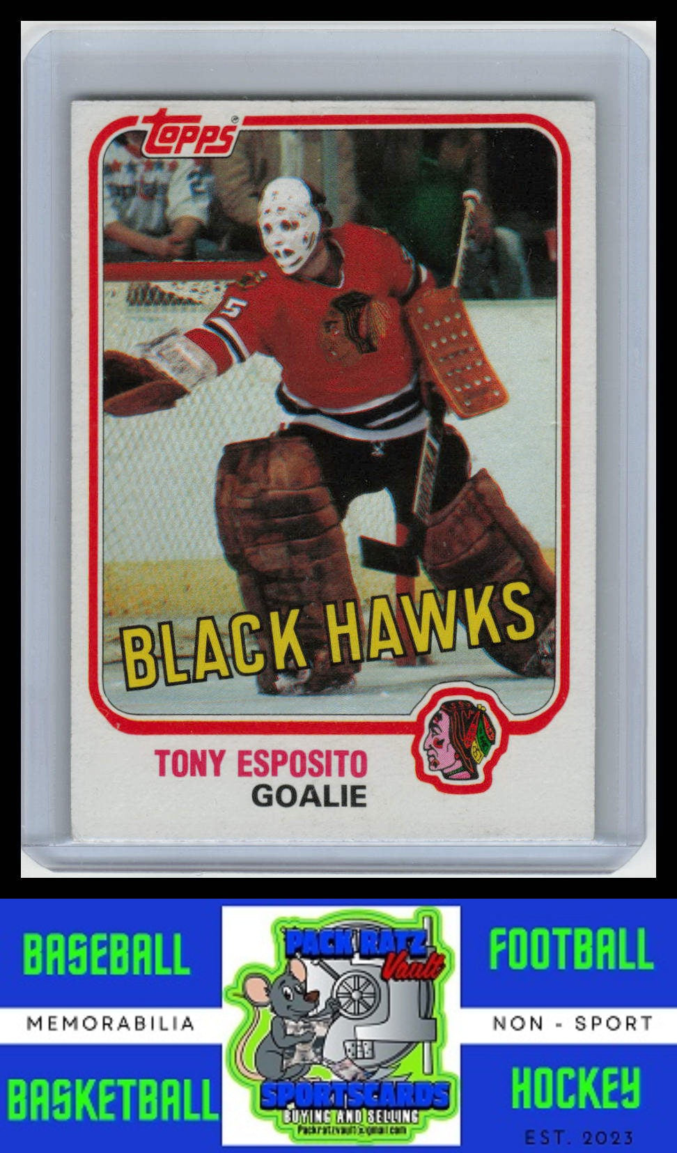 1981 Topps #11 Tony Esposito VG