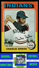 Load image into Gallery viewer, 1975 Topps #135 Charlie Spikes VG